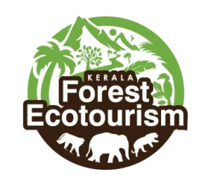 Client#8