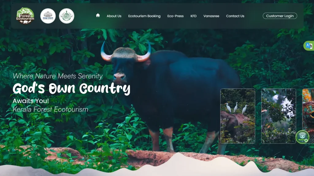 Kerala Forest