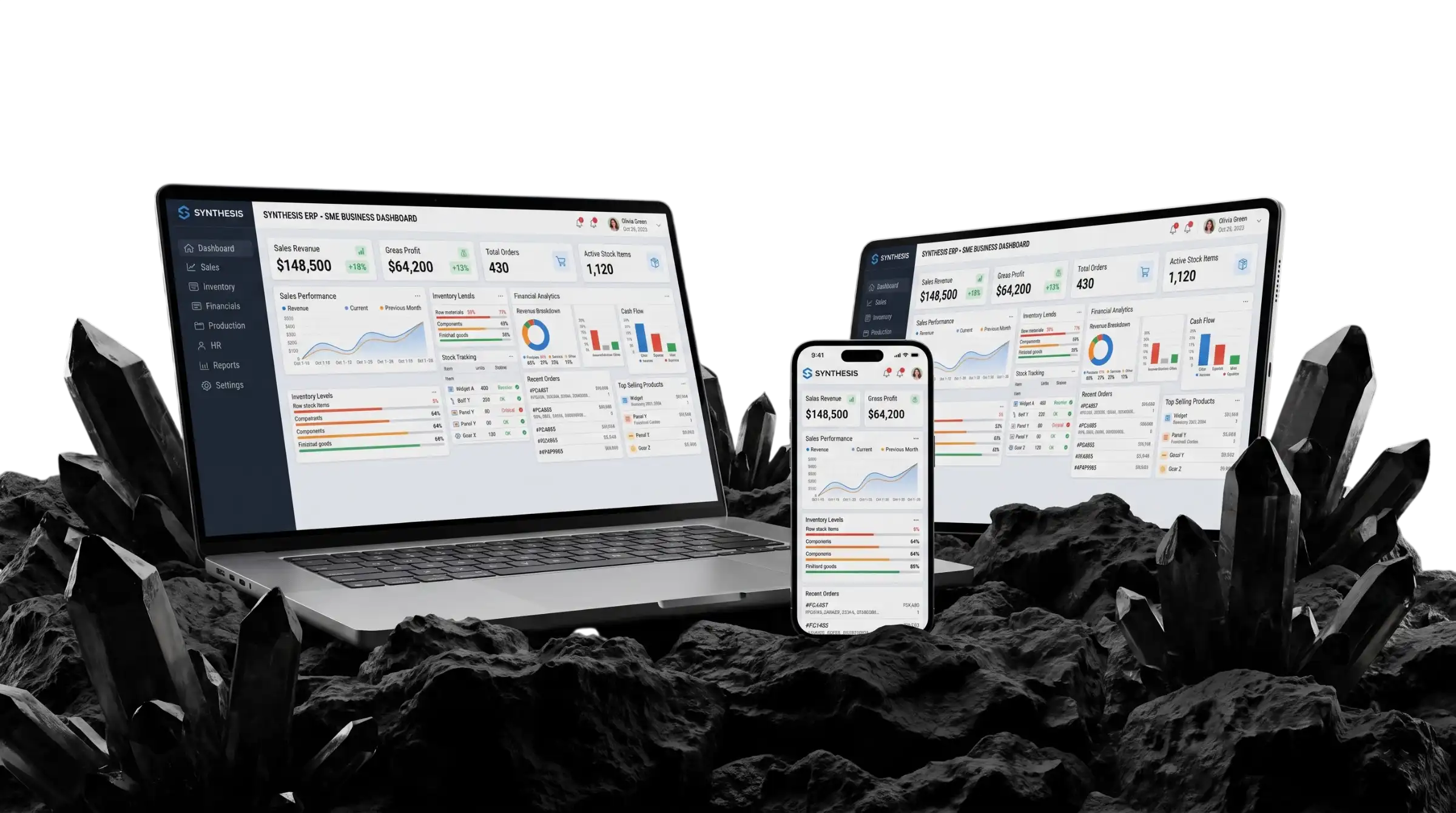More Than Just Accounting Software
